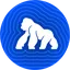 ApeCoin